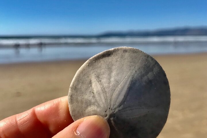 A La La Tour - Private Tour Of California's Central Coast - thumb 5
