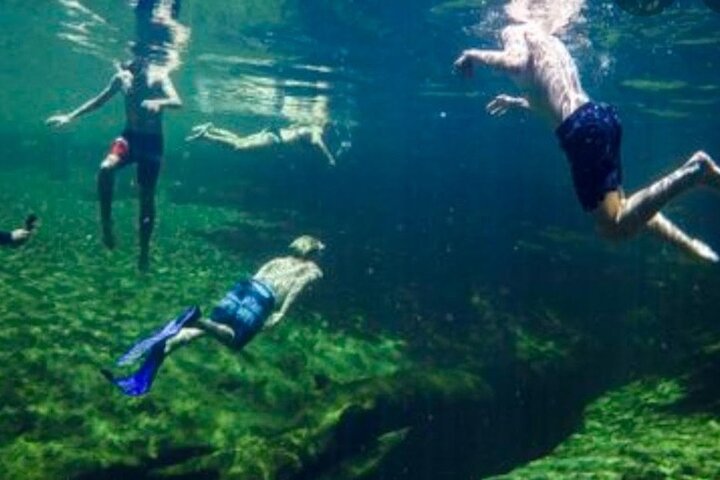Paddle Board Or Kayak And Swim Adventure At Wekiwa Springs - thumb 0