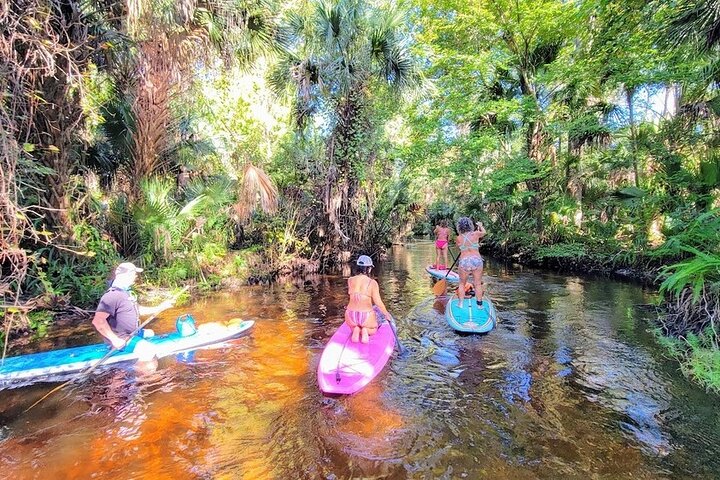 Paddle Board Or Kayak And Swim Adventure At Wekiwa Springs - thumb 4