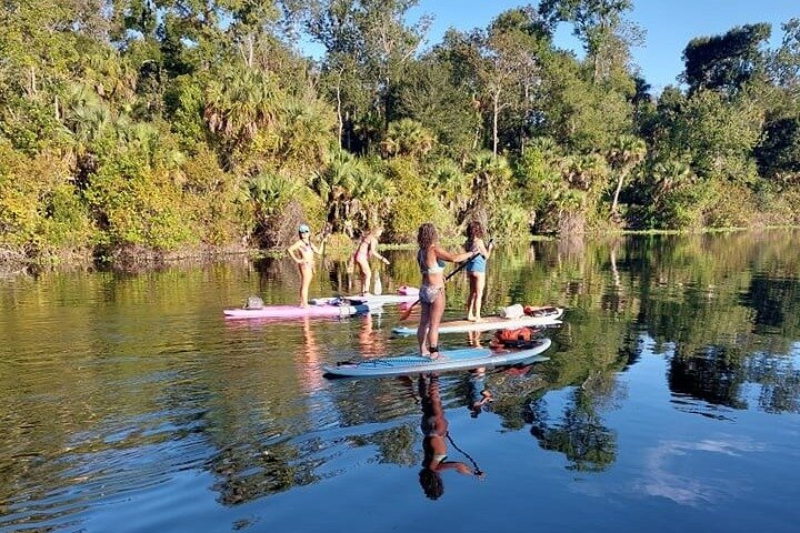 Paddle Board Or Kayak And Swim Adventure At Wekiwa Springs - thumb 5