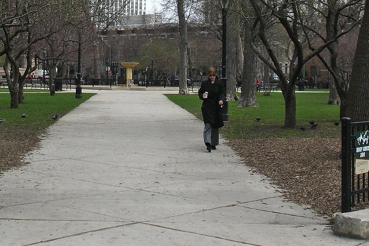 A Storied Neighborhood: Dance The Dialectic With Bill Ayers On An Audio Tour - thumb 0
