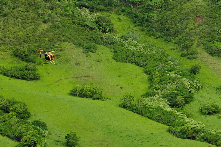 Kapolei: Doors-Off Waterfall & Valley Explorer Helicopter Tour - thumb 2