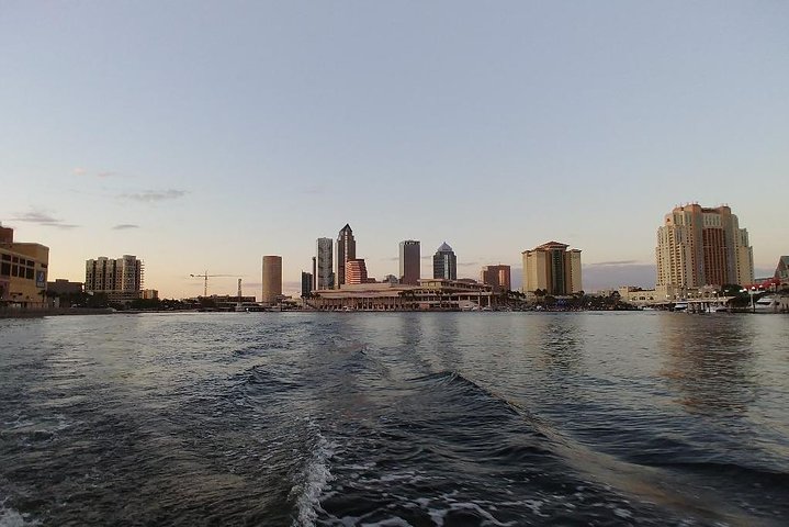 Tampa Celebrity Homes Boat Tour - thumb 4