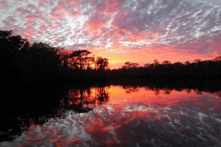 Waccamaw River Nature And Wildlife Tour - thumb 2