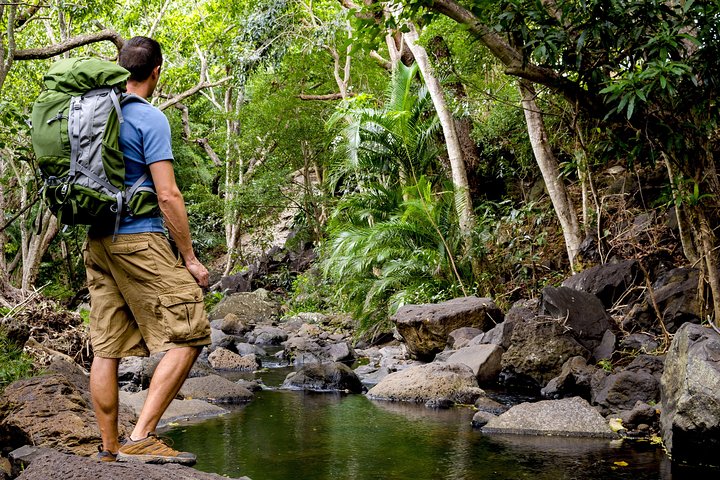 Wailua Valley & Waterfalls Audio Driving Tour - thumb 5