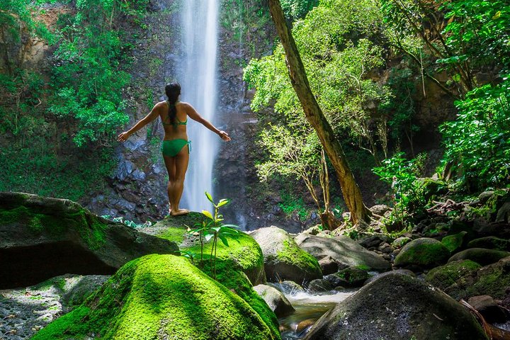 Wailua River Kayak And Sacred Fall Hike Adventure - thumb 3