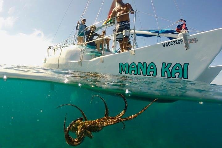 Waikiki Turtle Snorkel Adventure With Manakai Catamaran - thumb 0