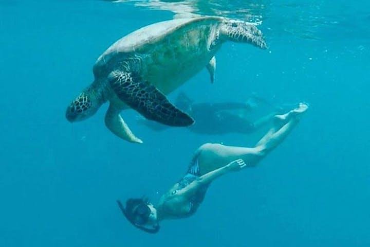 Waikiki Turtle Snorkel Adventure With Manakai Catamaran - thumb 4