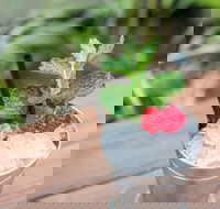 Small-Group Cocktail Tour in Denver - Hotels Find